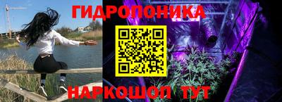 амф Краснознаменск