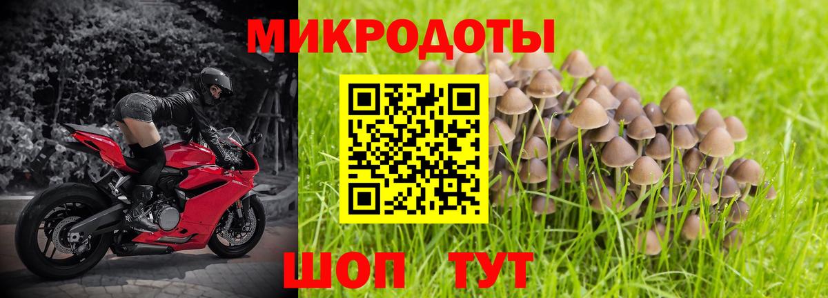 Псилоцибиновые грибы Cubensis  Вход с VPN  Котлас 